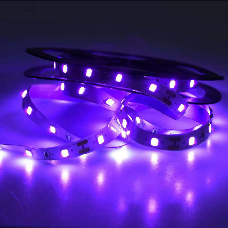 UV LED Ultraviolet Light, Blac - Uv Nail Lamp ulasan dan harga